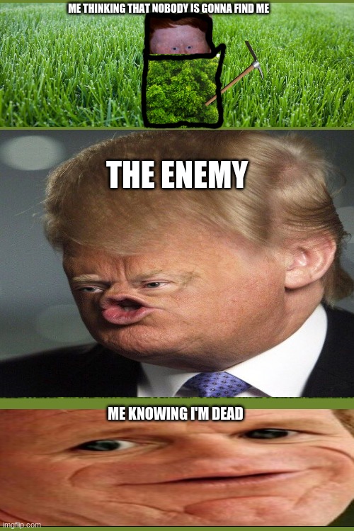 my life at fortnite | ME THINKING THAT NOBODY IS GONNA FIND ME; THE ENEMY; ME KNOWING I'M DEAD | image tagged in funny,lol,lol so funny,dead,funny memes | made w/ Imgflip meme maker