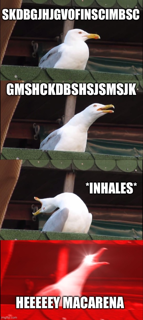 Inhaling Seagull | SKDBGJHJGVOFINSCIMBSC; GMSHCKDBSHSJSMSJK; *INHALES*; HEEEEEY MACARENA | image tagged in memes,inhaling seagull | made w/ Imgflip meme maker