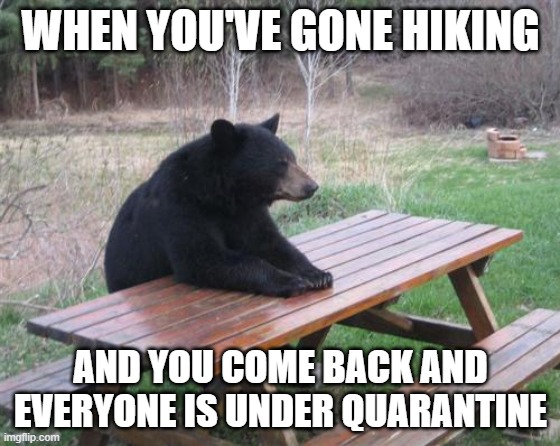 Bad Luck Bear | WHEN YOU'VE GONE HIKING; AND YOU COME BACK AND EVERYONE IS UNDER QUARANTINE | image tagged in memes,bad luck bear | made w/ Imgflip meme maker