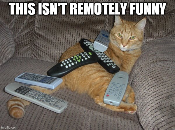 remotely funny | THIS ISN'T REMOTELY FUNNY | image tagged in remotely funny | made w/ Imgflip meme maker