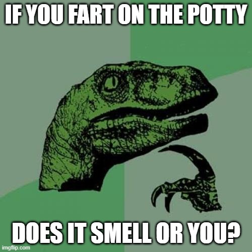 Philosoraptor Meme | IF YOU FART ON THE POTTY; DOES IT SMELL OR YOU? | image tagged in memes,philosoraptor | made w/ Imgflip meme maker