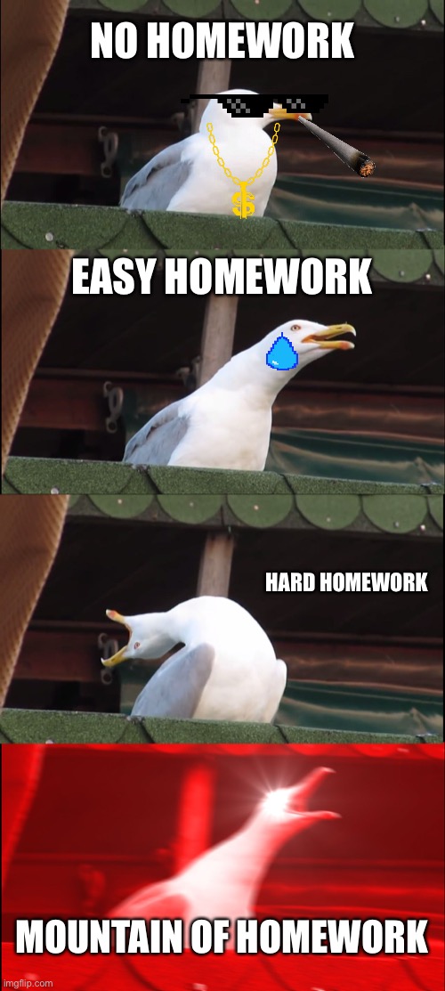 Inhaling Seagull | NO HOMEWORK; EASY HOMEWORK; HARD HOMEWORK; MOUNTAIN OF HOMEWORK | image tagged in memes,inhaling seagull | made w/ Imgflip meme maker