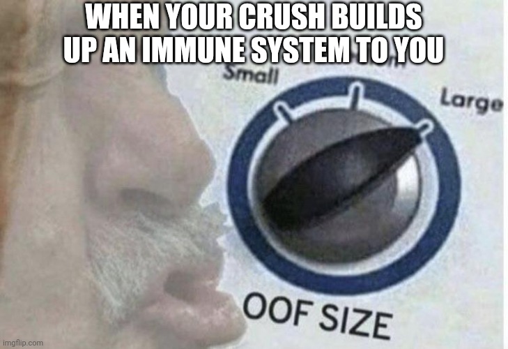 Oof size large | WHEN YOUR CRUSH BUILDS UP AN IMMUNE SYSTEM TO YOU | image tagged in oof size large | made w/ Imgflip meme maker