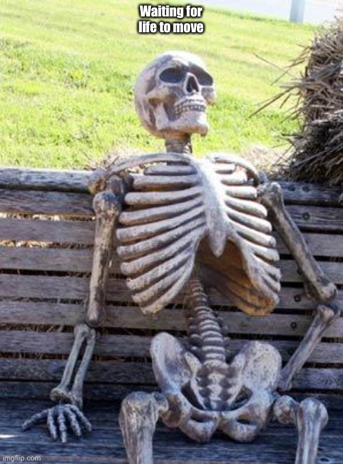 Waiting Skeleton | Waiting for life to move | image tagged in memes,waiting skeleton | made w/ Imgflip meme maker