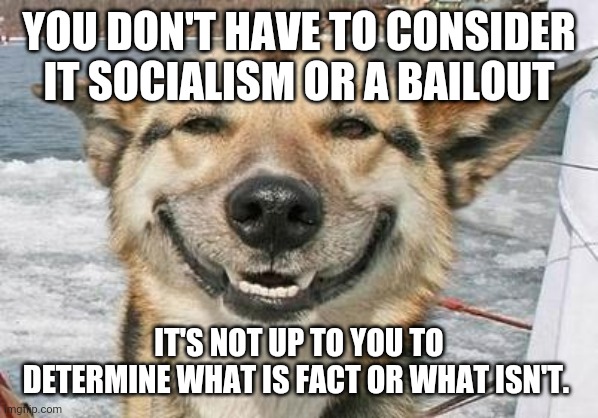 smiling dog | YOU DON'T HAVE TO CONSIDER IT SOCIALISM OR A BAILOUT IT'S NOT UP TO YOU TO DETERMINE WHAT IS FACT OR WHAT ISN'T. | image tagged in smiling dog | made w/ Imgflip meme maker