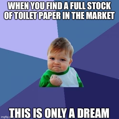 Success Kid | WHEN YOU FIND A FULL STOCK OF TOILET PAPER IN THE MARKET; THIS IS ONLY A DREAM | image tagged in memes,success kid | made w/ Imgflip meme maker