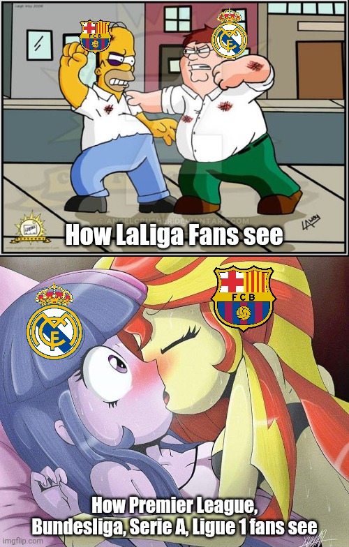 True Story | How LaLiga Fans see; How Premier League, Bundesliga, Serie A, Ligue 1 fans see | image tagged in memes,funny,football,soccer,barcelona,real madrid | made w/ Imgflip meme maker
