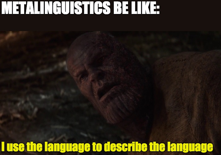 i used the stones to destroy the stones blank | METALINGUISTICS BE LIKE:; I use the language to describe the language | image tagged in i used the stones to destroy the stones blank | made w/ Imgflip meme maker