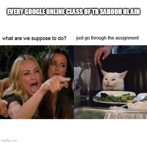 Woman Yelling At Cat | EVERY GOOGLE ONLINE CLASS OF TR SABOOH UL AIN; just go through the assignment; what are we suppose to do? | image tagged in memes,woman yelling at cat | made w/ Imgflip meme maker