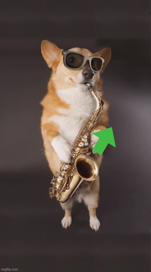 Corgi Saxophone | image tagged in corgi saxophone | made w/ Imgflip meme maker