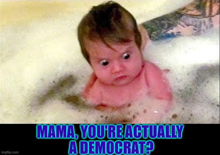 I had a decision to make before you came into this world | MAMA, YOU'RE ACTUALLY        A DEMOCRAT? | image tagged in vince vance,baby,freaking out,democrat,baby meme,baby girl | made w/ Imgflip meme maker