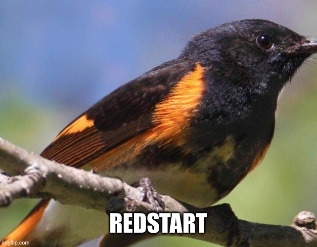 REDSTART | made w/ Imgflip meme maker