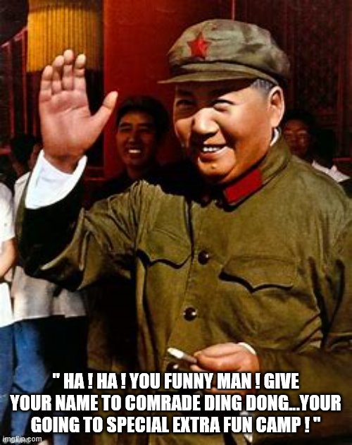 " HA ! HA ! YOU FUNNY MAN ! GIVE YOUR NAME TO COMRADE DING DONG...YOUR GOING TO SPECIAL EXTRA FUN CAMP ! " | made w/ Imgflip meme maker