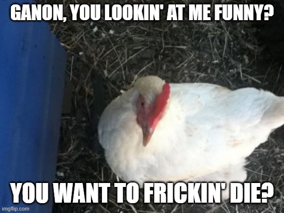 Angry Chicken Boss Meme | GANON, YOU LOOKIN' AT ME FUNNY? YOU WANT TO FRICKIN' DIE? | image tagged in memes,angry chicken boss | made w/ Imgflip meme maker
