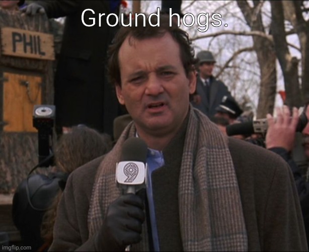 Bill Murray Groundhog Day | Ground hogs. | image tagged in bill murray groundhog day | made w/ Imgflip meme maker