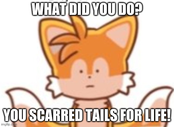 Tails | WHAT DID YOU DO? YOU SCARRED TAILS FOR LIFE! | image tagged in tails | made w/ Imgflip meme maker