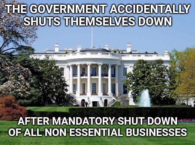 Whoops | THE GOVERNMENT ACCIDENTALLY SHUTS THEMSELVES DOWN; AFTER MANDATORY SHUT DOWN OF ALL NON ESSENTIAL BUSINESSES | image tagged in white house | made w/ Imgflip meme maker