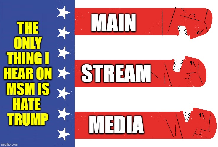 Hearing Truth in the News Really Would Be News | THE ONLY THING I HEAR ON MSM IS HATE    TRUMP; MAIN; STREAM; MEDIA | image tagged in vince vance,party of hate,let the hate flow through you,media lies,mainstream media,msm lies | made w/ Imgflip meme maker