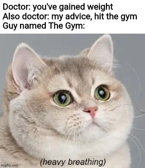 Heavy Breathing Cat | Doctor: you've gained weight
Also doctor: my advice, hit the gym
Guy named The Gym: | image tagged in memes,heavy breathing cat,gym,doctor,funny,excercise | made w/ Imgflip meme maker