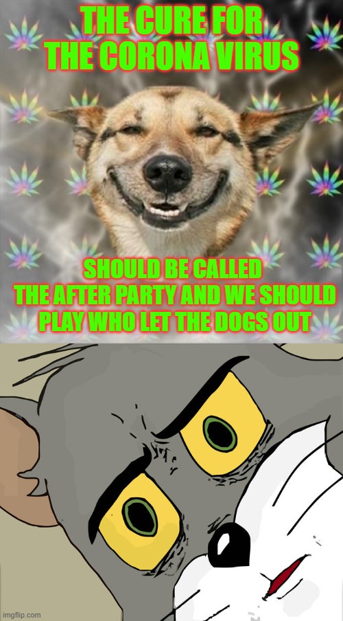 STONER THOUGHTS | THE CURE FOR THE CORONA VIRUS; SHOULD BE CALLED 
THE AFTER PARTY AND WE SHOULD PLAY WHO LET THE DOGS OUT | image tagged in memes,stoner dog,unsettled tom,funny | made w/ Imgflip meme maker