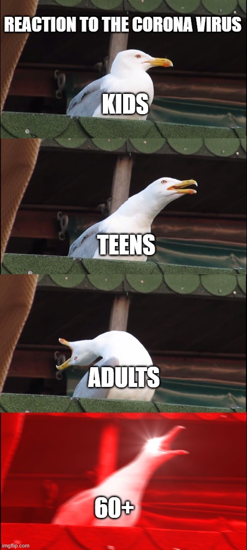 Inhaling Seagull Meme | REACTION TO THE CORONA VIRUS; KIDS; TEENS; ADULTS; 60+ | image tagged in memes,inhaling seagull | made w/ Imgflip meme maker