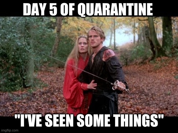 DAY 5 OF QUARANTINE; "I'VE SEEN SOME THINGS" | image tagged in quarantine | made w/ Imgflip meme maker