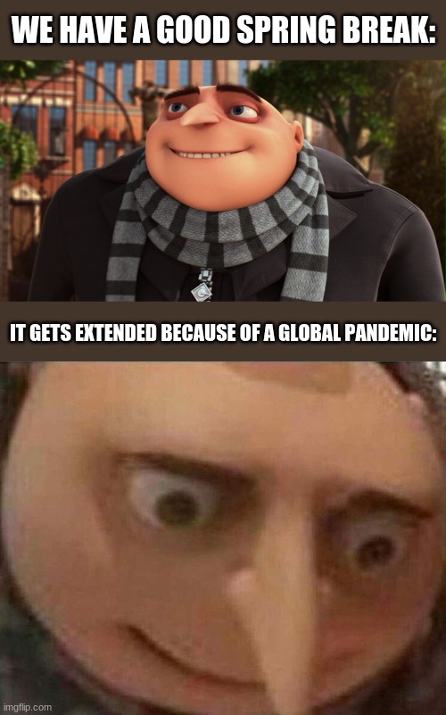 WE HAVE A GOOD SPRING BREAK:; IT GETS EXTENDED BECAUSE OF A GLOBAL PANDEMIC: | image tagged in gru meme | made w/ Imgflip meme maker