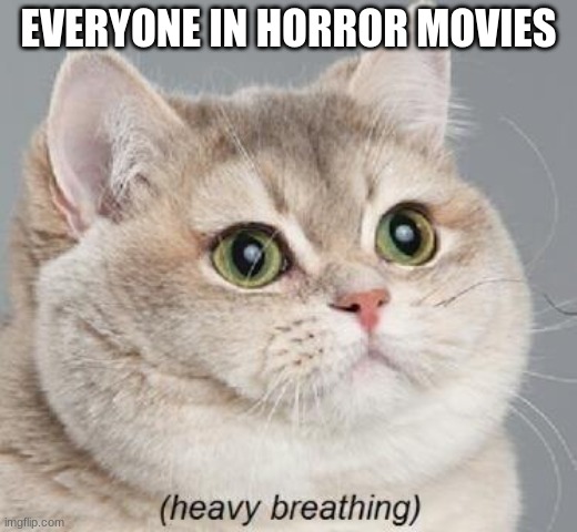 Heavy Breathing Cat | EVERYONE IN HORROR MOVIES | image tagged in memes,heavy breathing cat | made w/ Imgflip meme maker