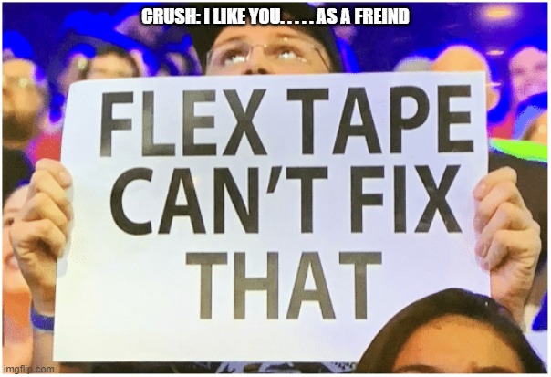 flex tape can't fix that | CRUSH: I LIKE YOU. . . . . AS A FREIND | image tagged in flex tape can't fix that | made w/ Imgflip meme maker