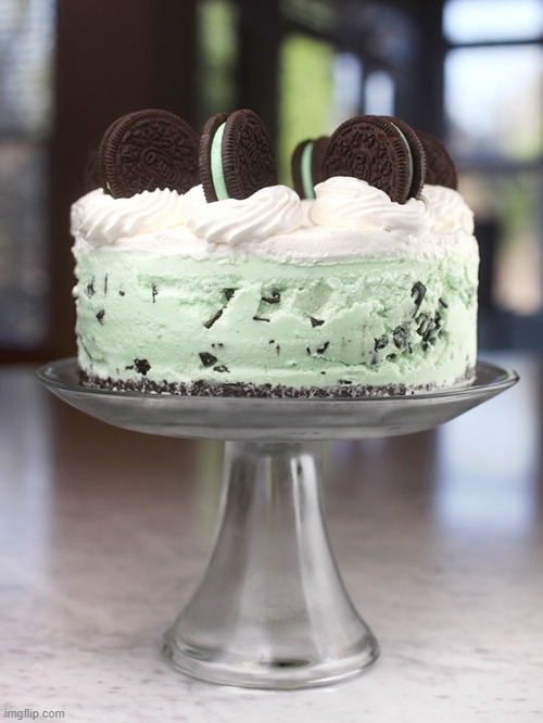 Mint Chocolate Chip Cake | made w/ Imgflip meme maker