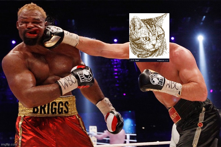 knockout | image tagged in knockout | made w/ Imgflip meme maker
