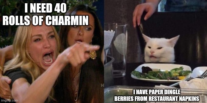 Woman Screaming at Cat | I NEED 40 ROLLS OF CHARMIN; I HAVE PAPER DINGLE BERRIES FROM RESTAURANT NAPKINS | image tagged in woman screaming at cat | made w/ Imgflip meme maker
