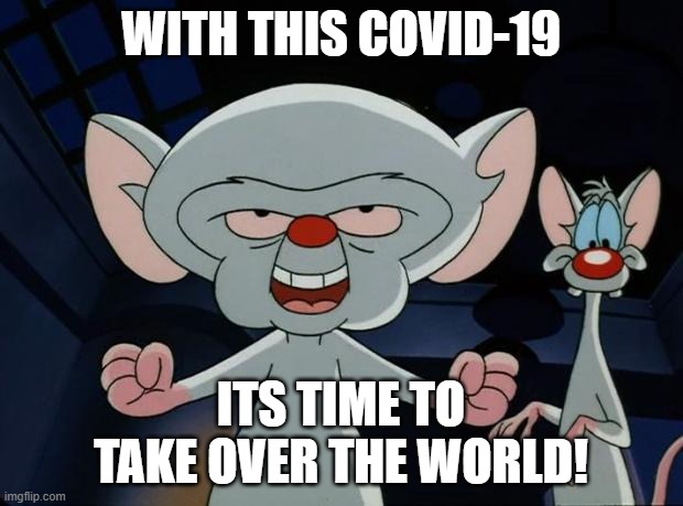 Pinky and the Brain | WITH THIS COVID-19; ITS TIME TO TAKE OVER THE WORLD! | image tagged in pinky and the brain | made w/ Imgflip meme maker