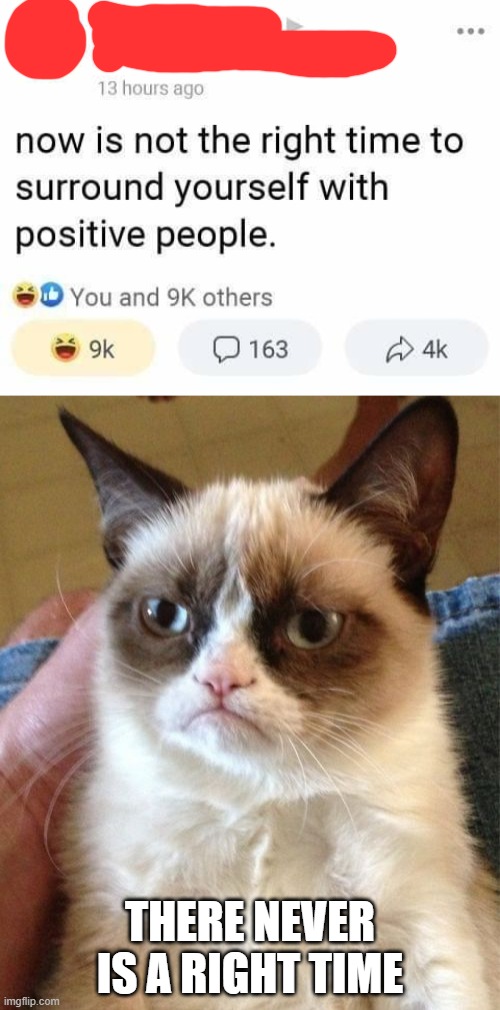 Never | THERE NEVER IS A RIGHT TIME | image tagged in memes,grumpy cat,positive,negative,coronavirus | made w/ Imgflip meme maker