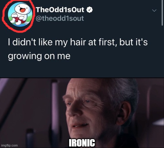 But... he has no hair... | IRONIC | image tagged in palpatine ironic,hair,ironic,theodd1sout,bruh haircut,bald | made w/ Imgflip meme maker