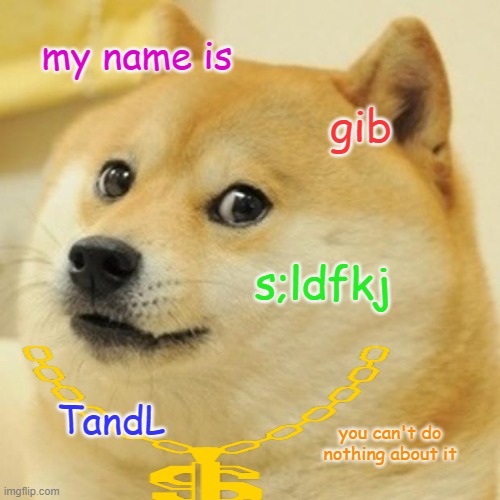 Doge Meme | my name is; gib; s;ldfkj; TandL; you can't do nothing about it | image tagged in memes,doge | made w/ Imgflip meme maker