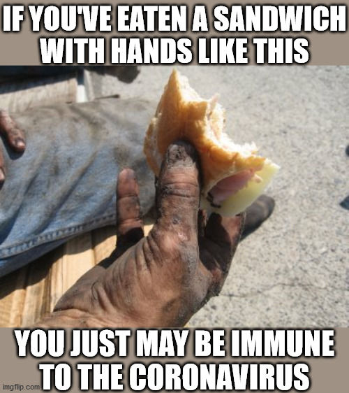 Dirty Greasy Hands Survivor | IF YOU'VE EATEN A SANDWICH
WITH HANDS LIKE THIS; YOU JUST MAY BE IMMUNE
TO THE CORONAVIRUS | image tagged in dirty hands,memes,coronavirus,make me a sandwich,one does not simply,but thats none of my business | made w/ Imgflip meme maker