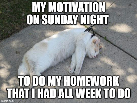 Lazy Cat | MY MOTIVATION ON SUNDAY NIGHT; TO DO MY HOMEWORK THAT I HAD ALL WEEK TO DO | image tagged in lazy cat | made w/ Imgflip meme maker