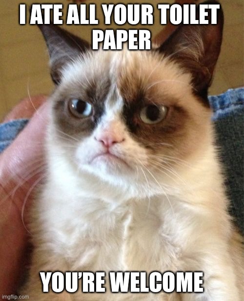 Grumpy Cat | I ATE ALL YOUR TOILET 
PAPER; YOU’RE WELCOME | image tagged in memes,grumpy cat | made w/ Imgflip meme maker