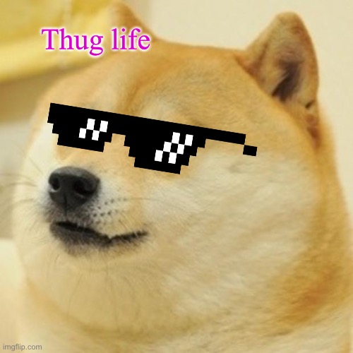 Doge Meme | Thug life | image tagged in memes,doge | made w/ Imgflip meme maker