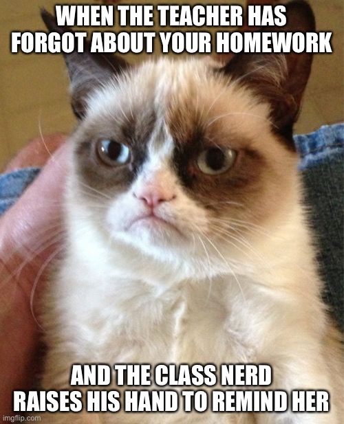 Grumpy Cat | WHEN THE TEACHER HAS FORGOT ABOUT YOUR HOMEWORK; AND THE CLASS NERD RAISES HIS HAND TO REMIND HER | image tagged in memes,grumpy cat | made w/ Imgflip meme maker