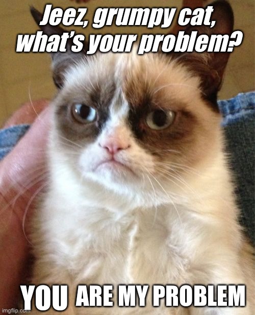 Grumpy Cat | Jeez, grumpy cat, what’s your problem? ARE MY PROBLEM; YOU | image tagged in memes,grumpy cat | made w/ Imgflip meme maker