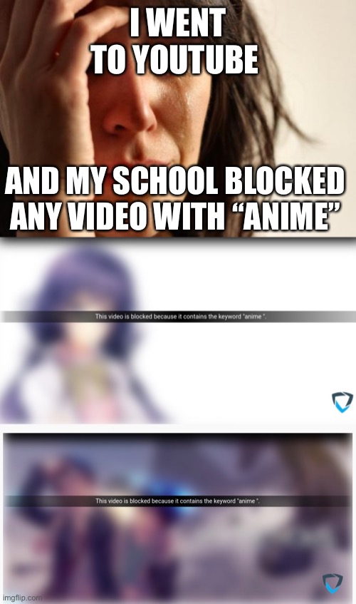 I WENT TO YOUTUBE; AND MY SCHOOL BLOCKED ANY VIDEO WITH “ANIME” | image tagged in memes,first world problems | made w/ Imgflip meme maker