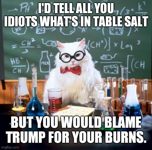 Chemistry Cat Meme | I'D TELL ALL YOU IDIOTS WHAT'S IN TABLE SALT; BUT YOU WOULD BLAME TRUMP FOR YOUR BURNS. | image tagged in memes,chemistry cat | made w/ Imgflip meme maker