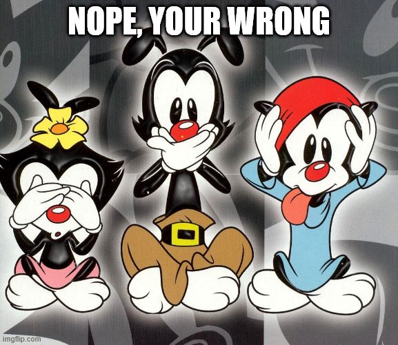 animaniacs | NOPE, YOUR WRONG | image tagged in animaniacs | made w/ Imgflip meme maker