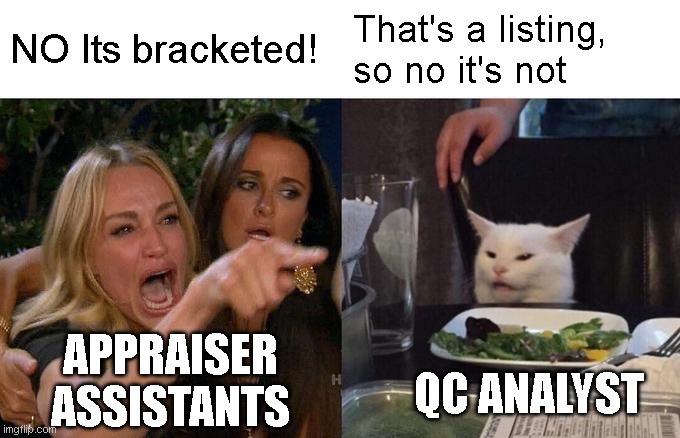 Woman Yelling At Cat | NO Its bracketed! That's a listing, so no it's not; APPRAISER ASSISTANTS; QC ANALYST | image tagged in memes,woman yelling at cat | made w/ Imgflip meme maker