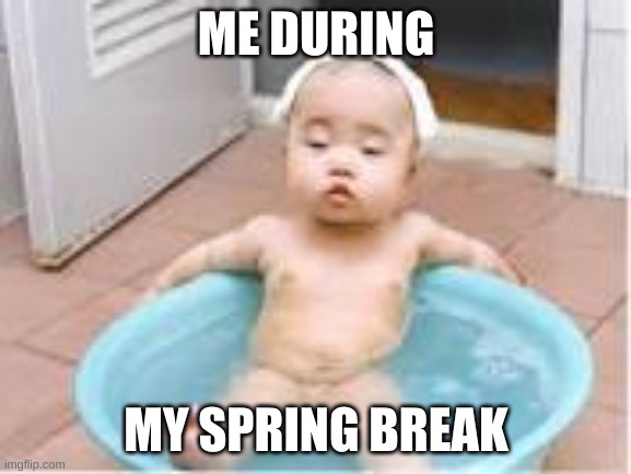 ME DURING; MY SPRING BREAK | image tagged in funny | made w/ Imgflip meme maker