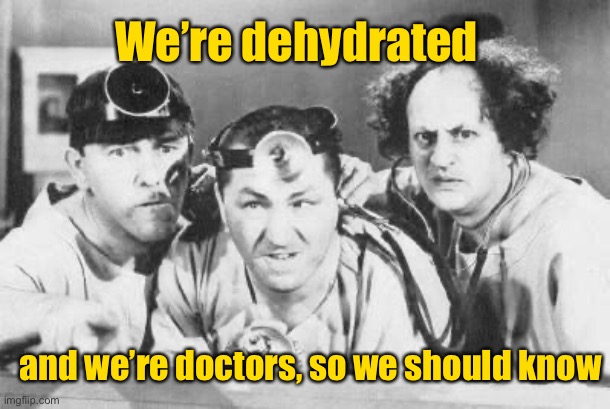 Doctor Stooges | and we’re doctors, so we should know We’re dehydrated | image tagged in doctor stooges | made w/ Imgflip meme maker