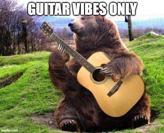 bear with guitar  | GUITAR VIBES ONLY | image tagged in bear with guitar | made w/ Imgflip meme maker