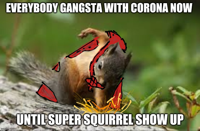 Super Squirrel | EVERYBODY GANGSTA WITH CORONA NOW; UNTIL SUPER SQUIRREL SHOW UP | image tagged in super squirrel | made w/ Imgflip meme maker